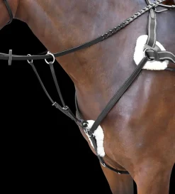 Shires Rossano Five-Point Breastplate
