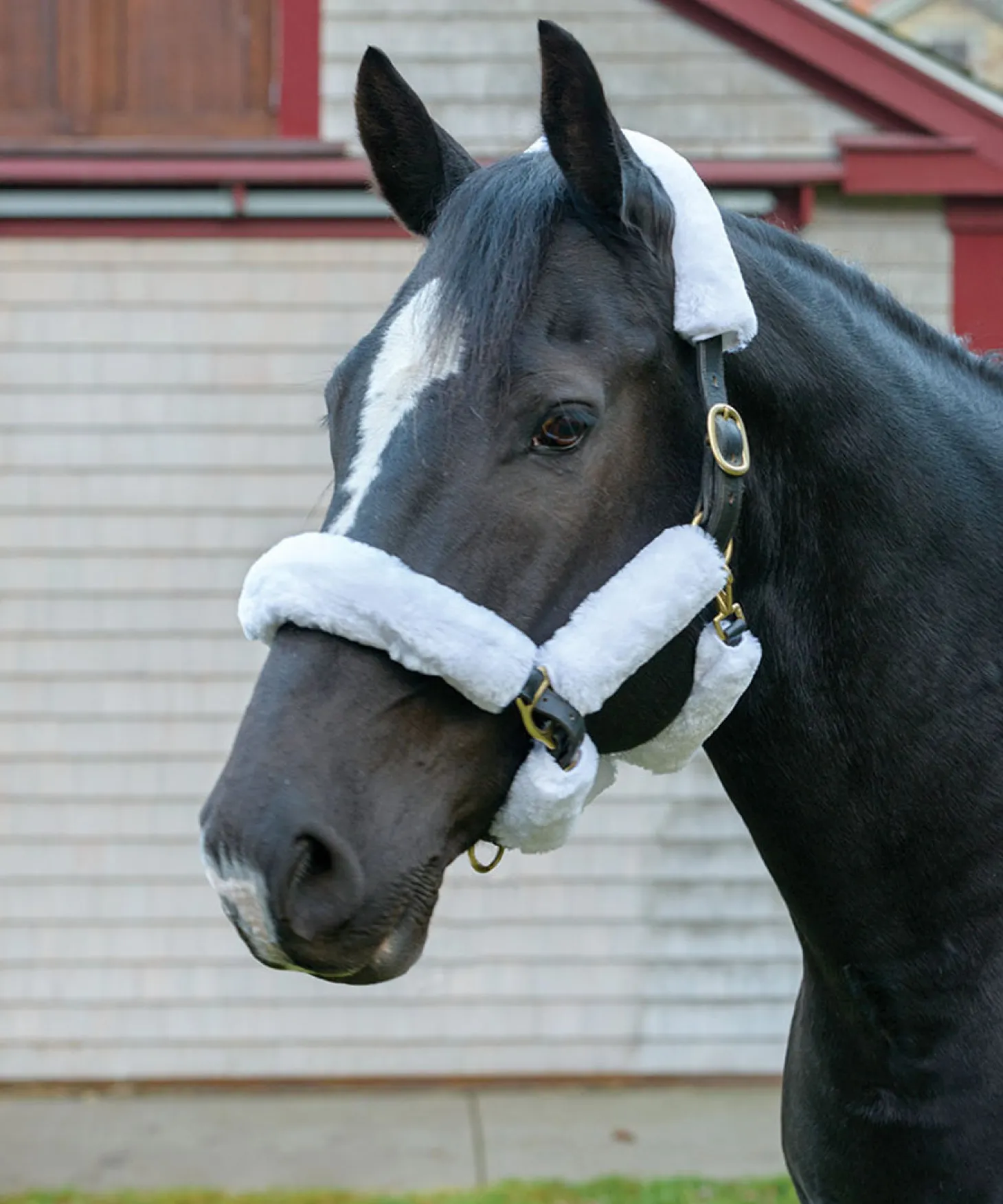 Shires SupaFleece Halter Fleeces - 9 piece set