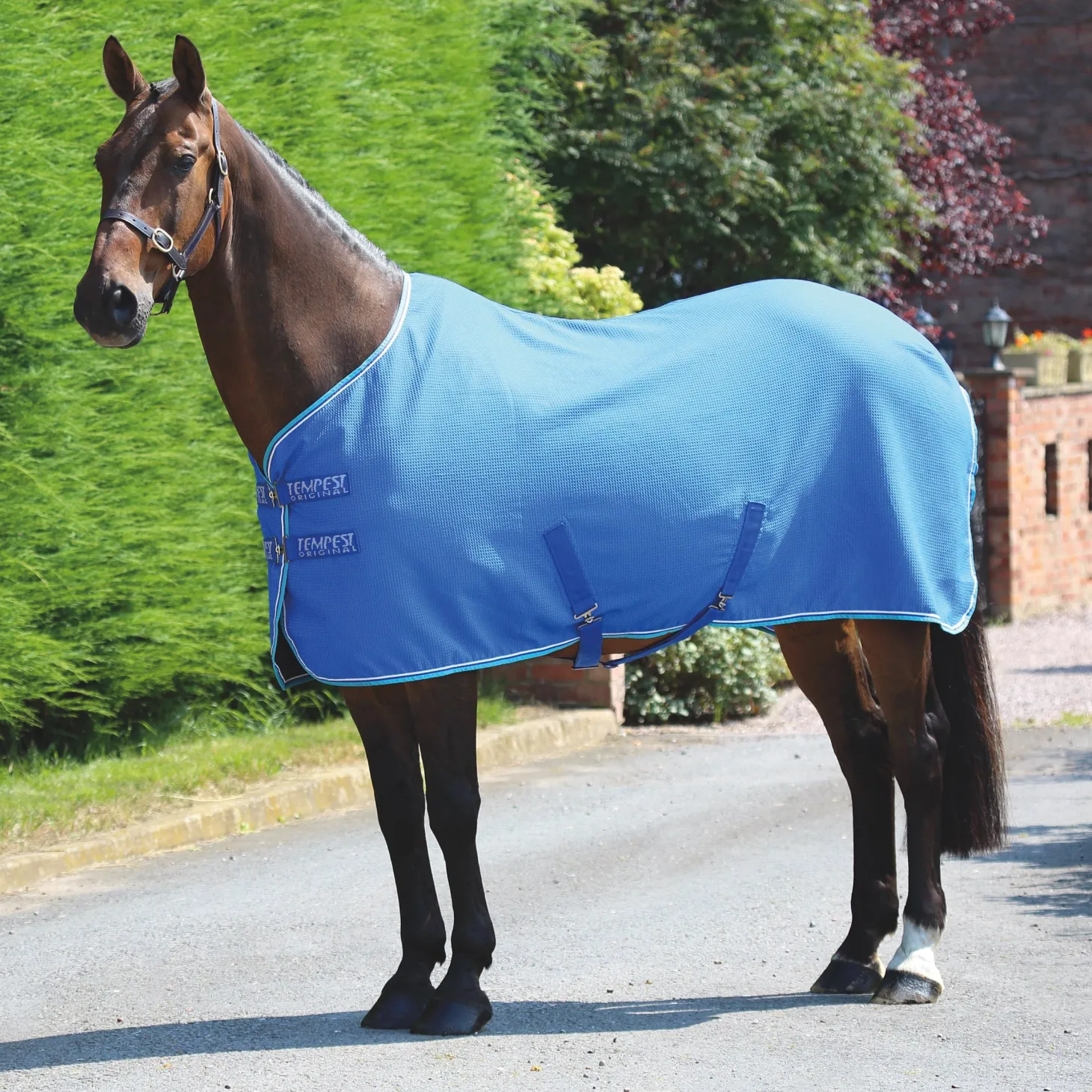 Shires Tempest Original Waffle Cooler