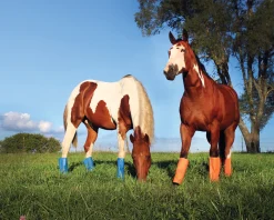 Shoofly Leggins™ Set of 4