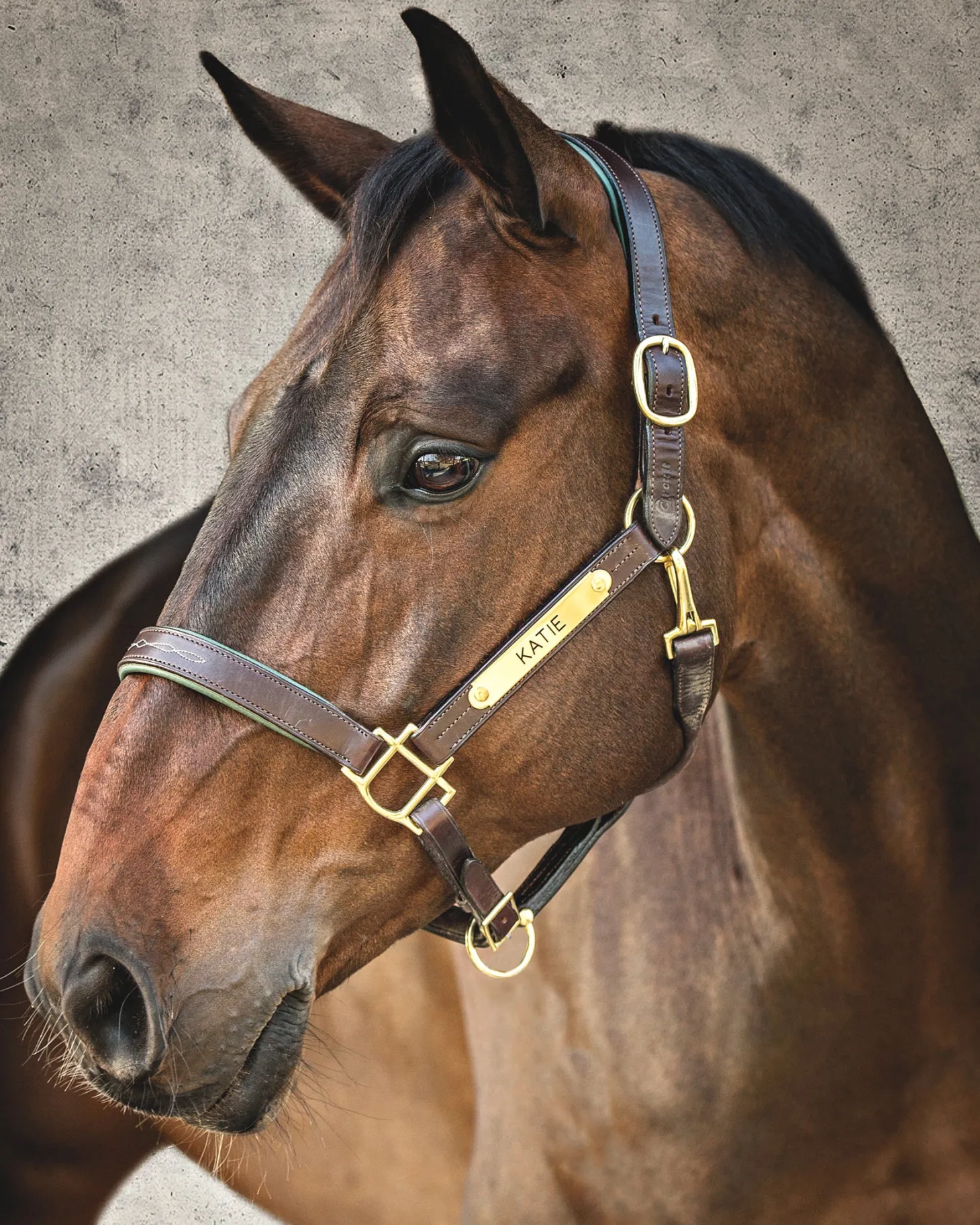 Showmark™ Classic Fancy-Stitched Leather Halter
