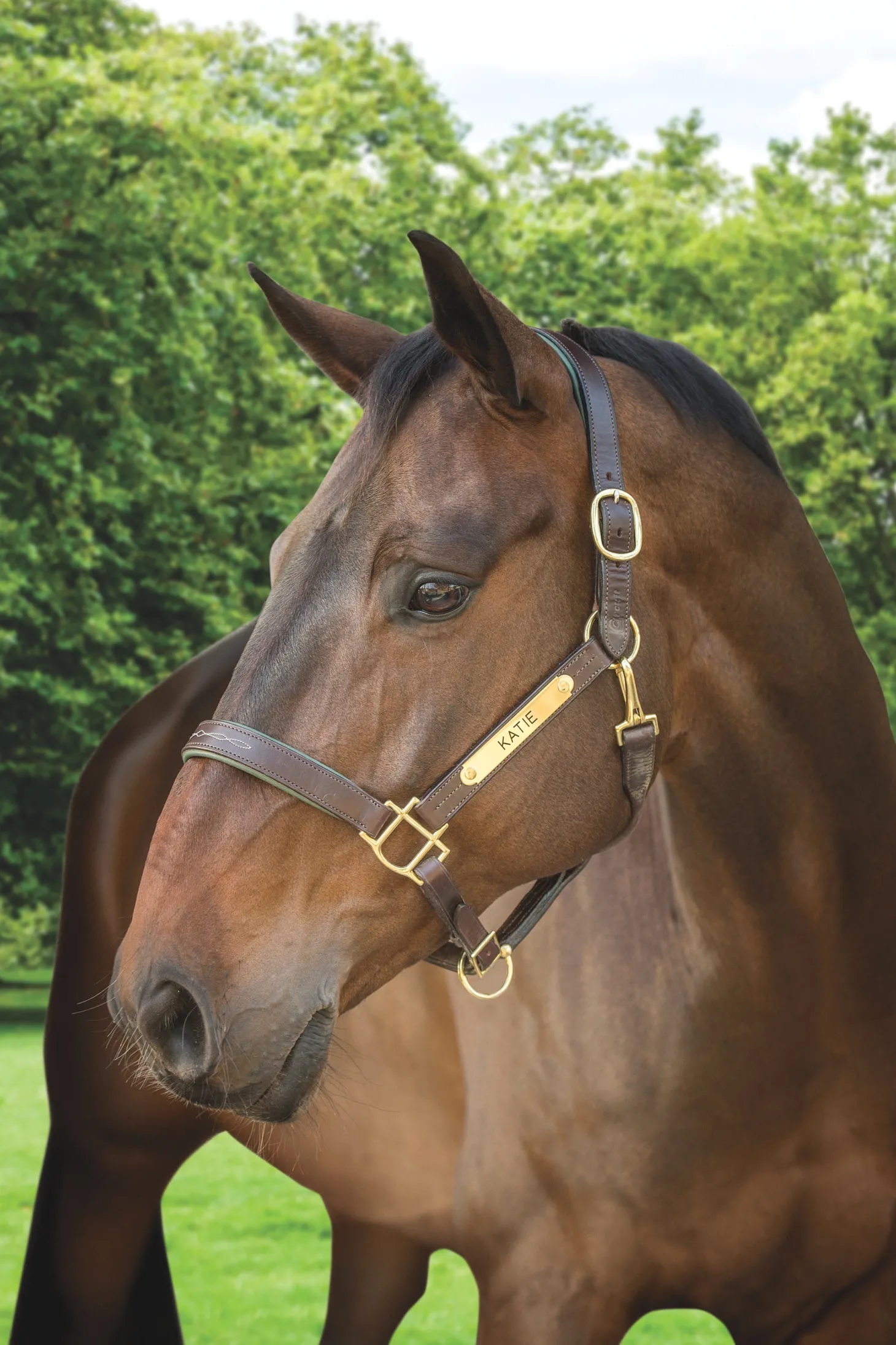 Showmark™ Classic Fancy-Stitched Leather Halter