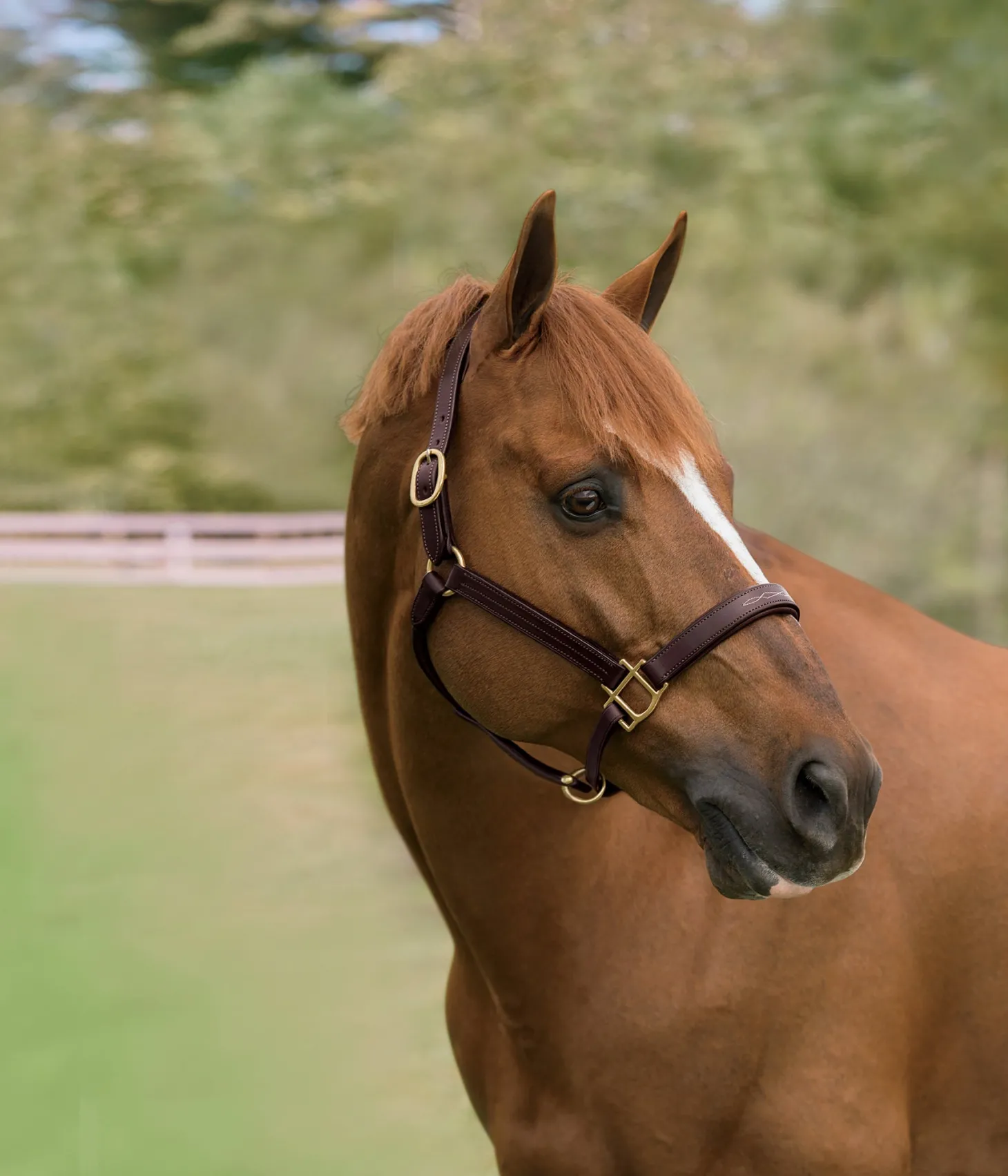 Showmark™ Classic Fancy-Stitched Leather Halter