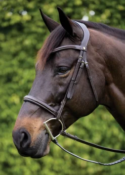Showmark® Ergonomic Hunter Bridle