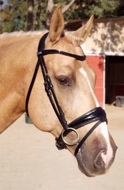 Stübben Patent Switch Combo Bridle