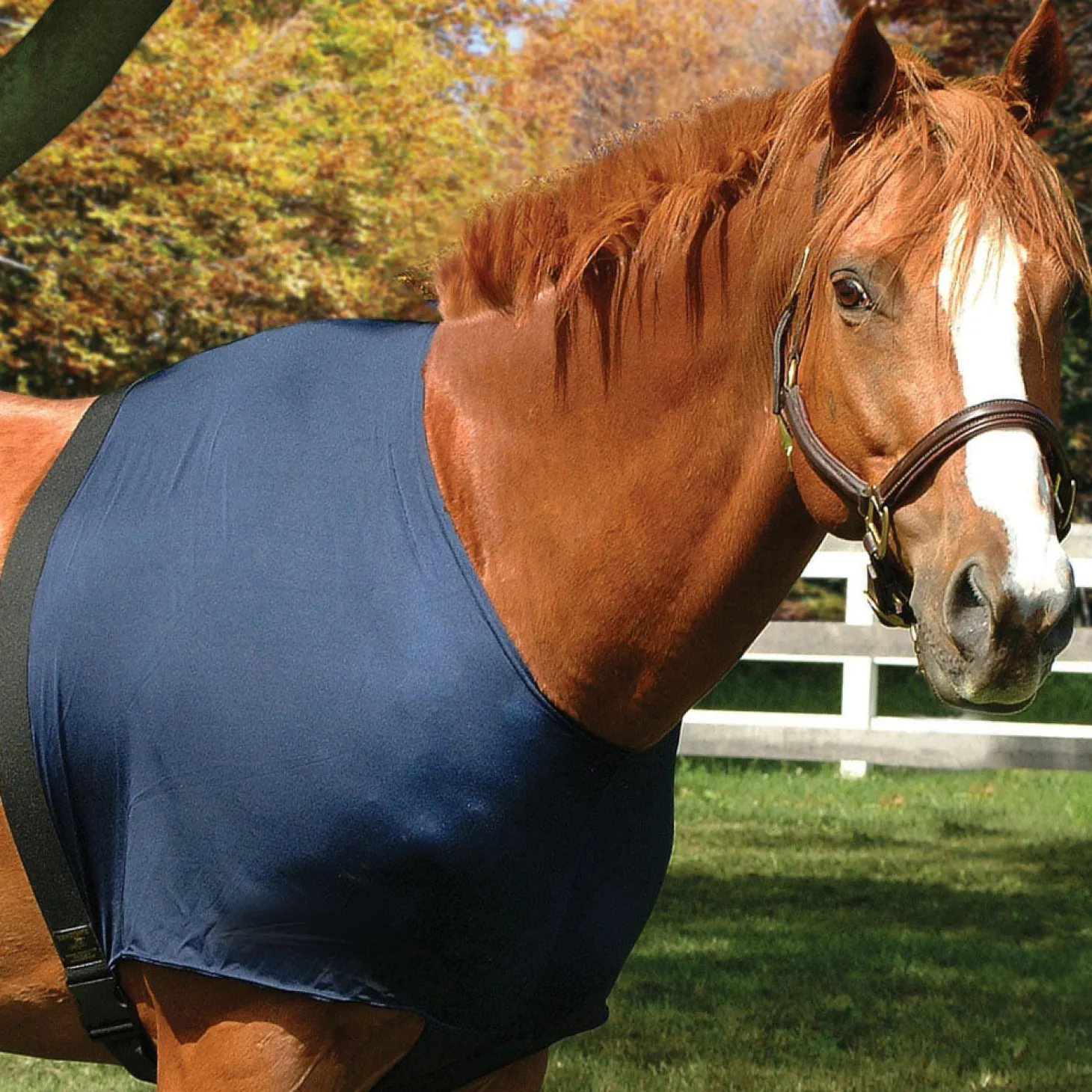 Stretchies® Shoulder Guard