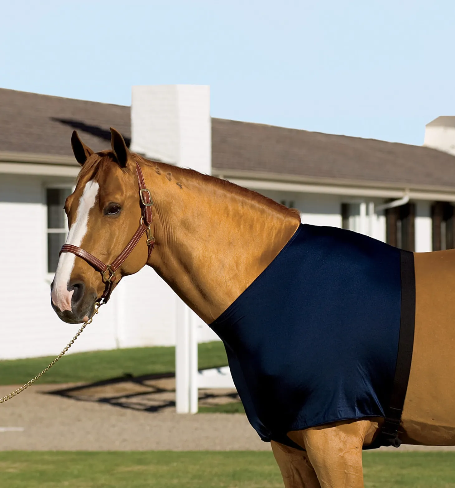 Stretchies® Shoulder Guard