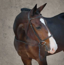 Suffolk™ Classic Hunter Bridle