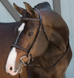 Suffolk™ Fancy-Stitched Single Crown Bridle