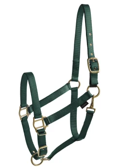 Suffolk™ Heavy Nylon Breakaway Halter with Fuse