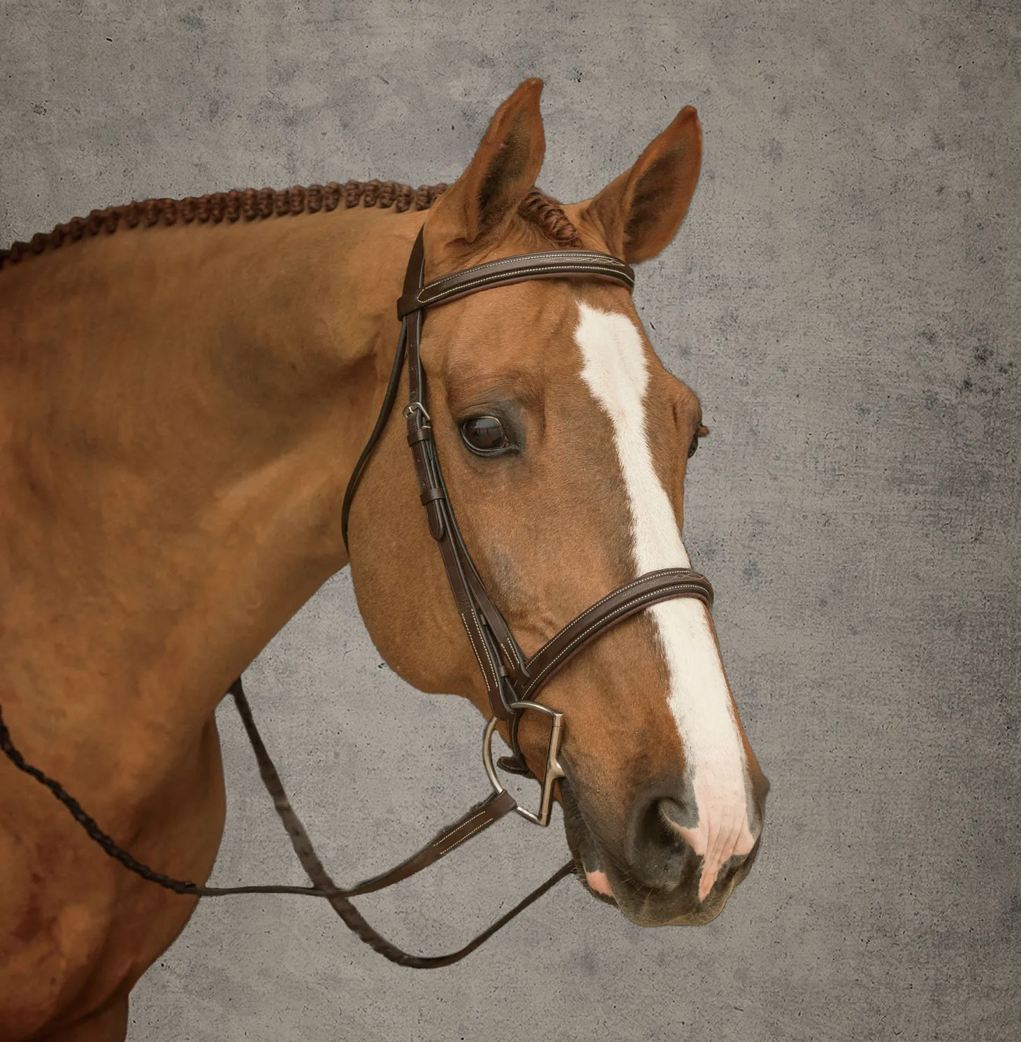 Suffolk™ Hunter Bridle