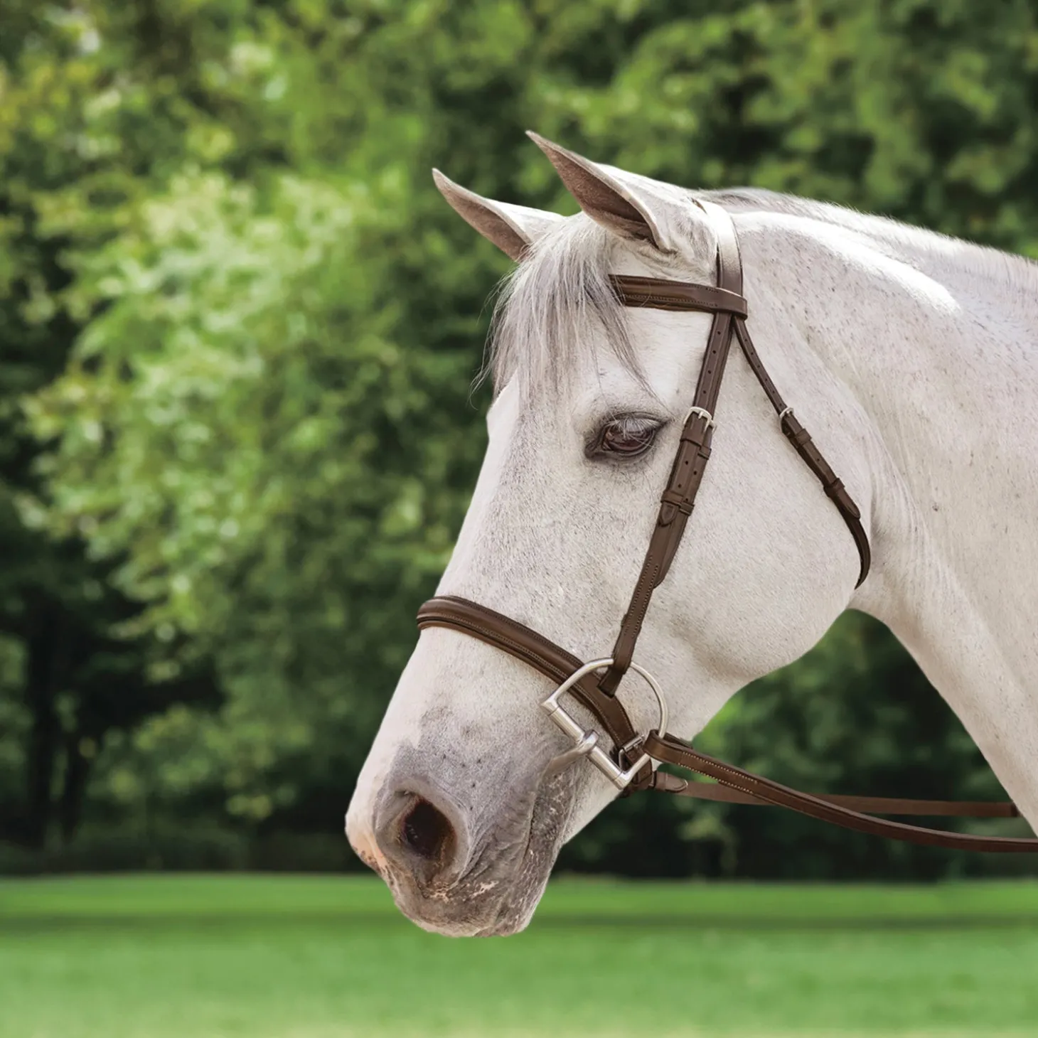 Suffolk™ Plain Raised Bridle