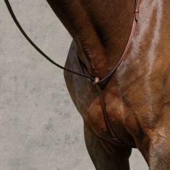Suffolk™ Raised Standing Martingale