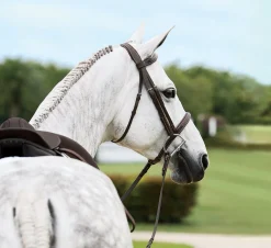 Suffolk™ Single Crown Hunter Bridle