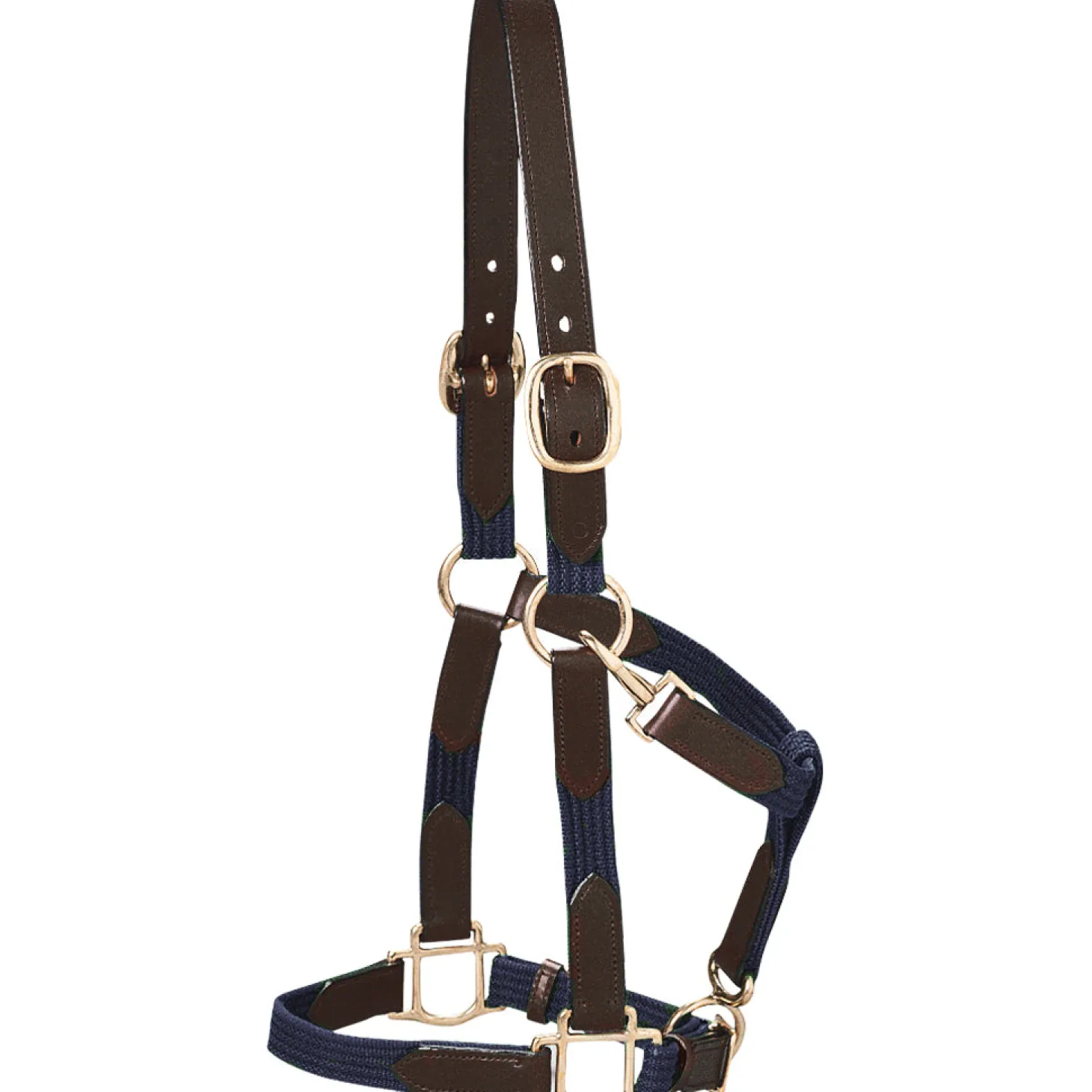 Suffolk™ Web Halter