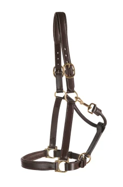 Suffolk™ Everyday Halter