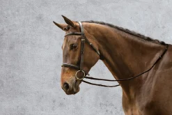 Suffolk™ Single Crown Classic Dressage Bridle