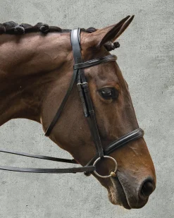 Suffolk™ Single Crown Classic Dressage Bridle