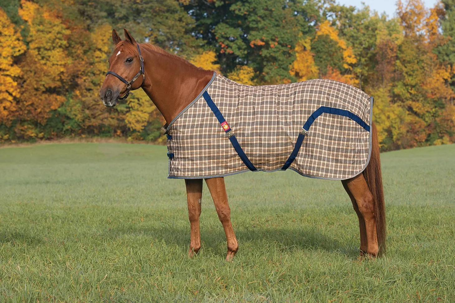 The Original Baker® Sheet