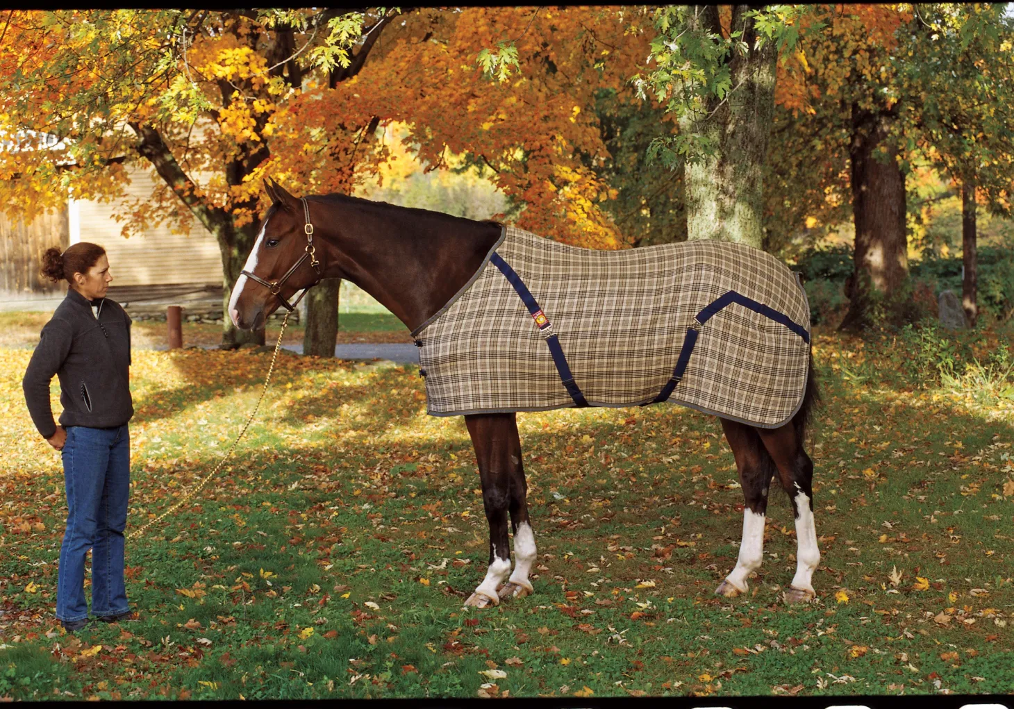 The Original Baker® Stable Blanket