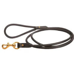 Tory Leather Rolled Leather Dog Leash