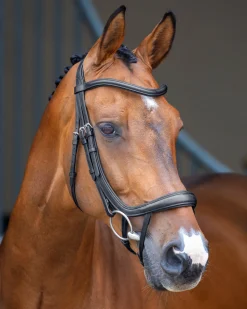 Velociti Lusso Ergonomic Curved Flash Bridle