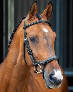 Velociti Lusso Ergonomic Flash Bridle