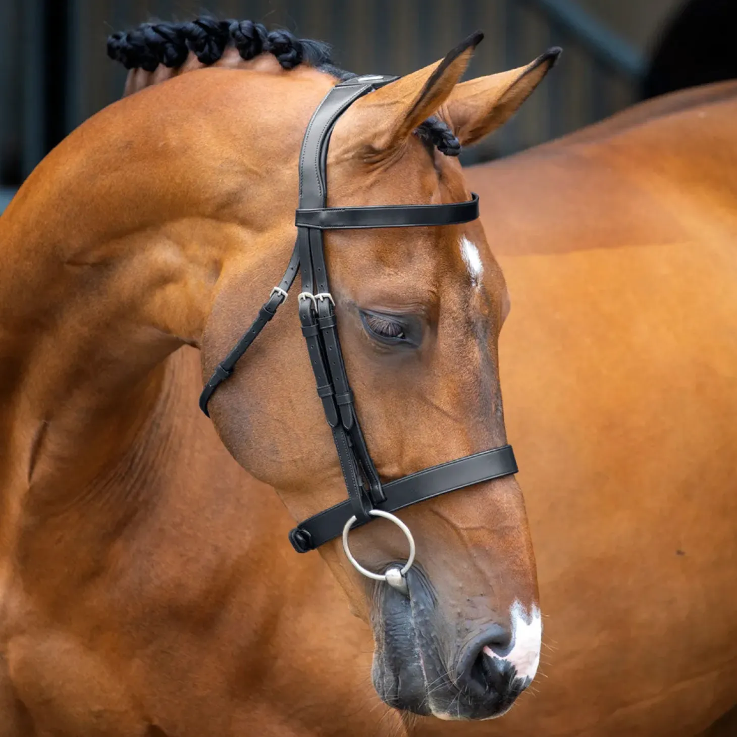 Velociti Lusso Hunter Caveson Bridle