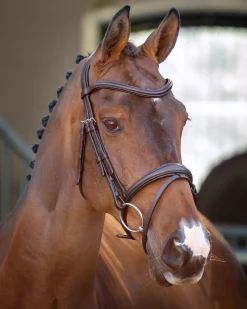 Velociti Lusso Padded Raised Flash Bridle