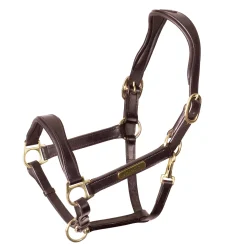 Velociti Rapida Cushioned Leather Halter