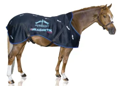 Veredus® Magnetik Stable Sheet