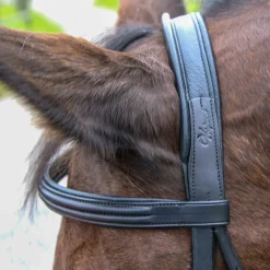 Vespucci Classic Dressage Bridle