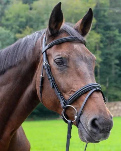 Vespucci Dressage Double Raised Snaffle Bridle