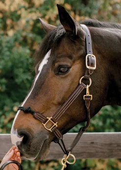 Walsh™ Rope Nose British Halter