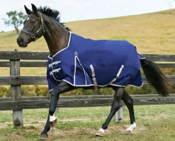 WeatherBeeta® ComFiTec™ Essential Solid Turnout Sheet