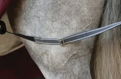 WeatherBeeta® ComFiTec™ Plus Dynamic II Standard Neck Medium-Weight Turnout Blanket