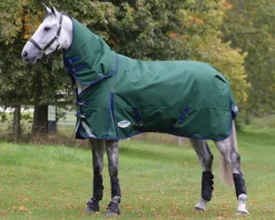 WeatherBeeta® ComFiTec™ Plus Dynamic II Detach-A-Neck Heavyweight Turnout Blanket