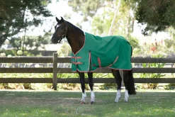 WeatherBeeta® ComFiTec™ Prelim Standard Neck Medium-Weight Turnout Blanket