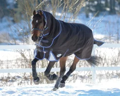 WeatherBeeta® ComFiTec™ Ultra Cozi II Detach-A-Neck Medium-Weight Turnout Blanket