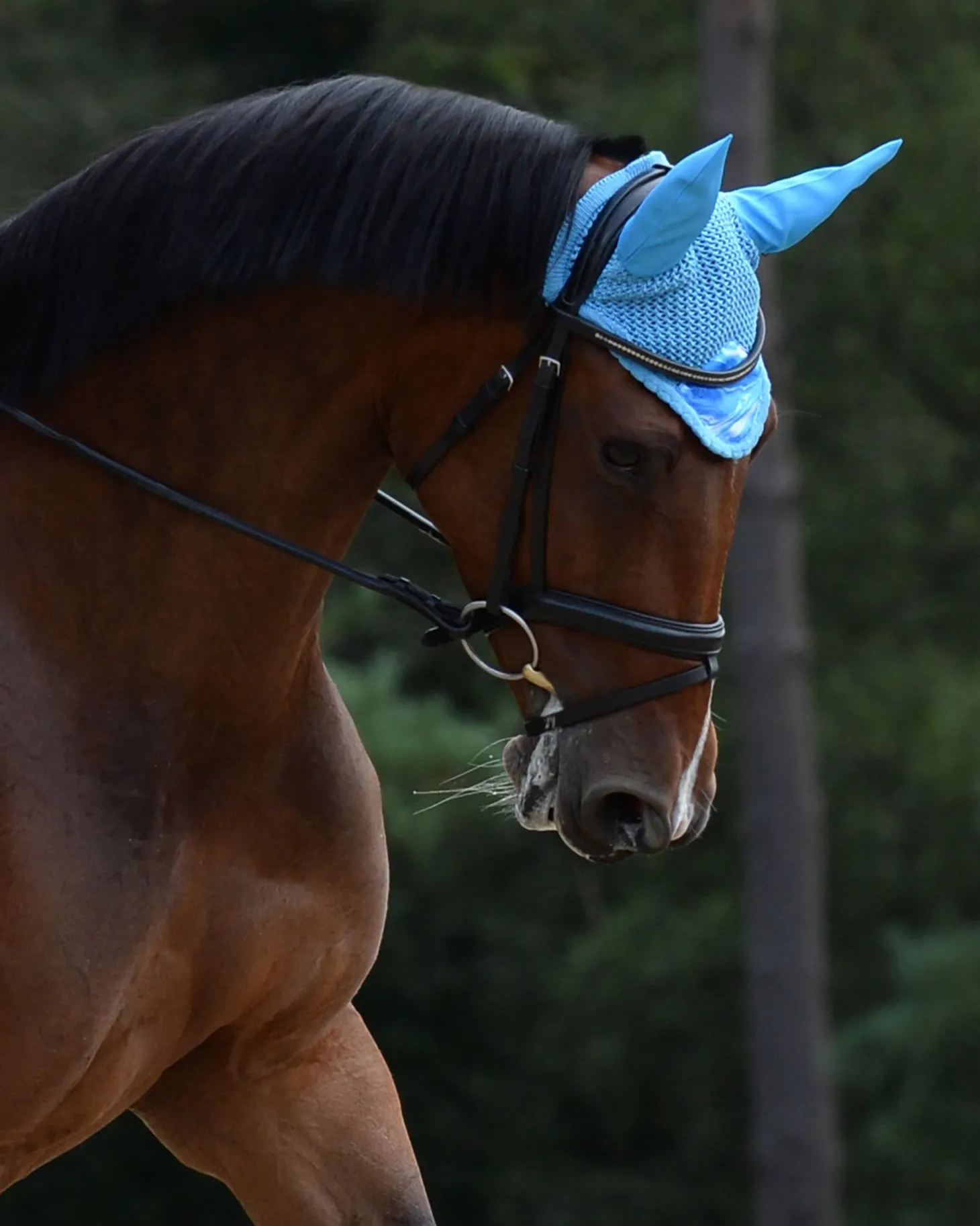 WeatherBeeta® Prime Marble Ear Bonnet